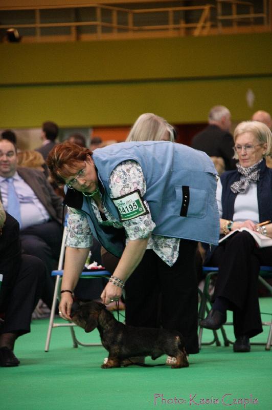 Crufts2011_2 728.jpg